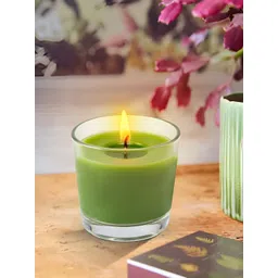 Garden Deco Green 2 Pieces Scented Jar Candles image 2