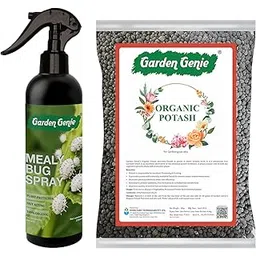 Garden Genie Mealy Bug Spray 250ml & Organic Potash Fertilizer 400g – Natural Pest Control & Plant Nutrient for Healthier Plants, Safe & Effective for All Garden Plants-picture-18