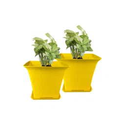 GARDEN'S NEED 2-Pcs Yellow Textured Planters-picture-20