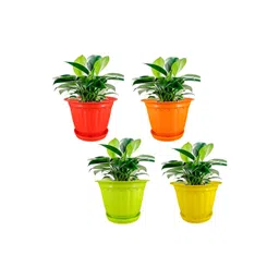 GARDEN'S NEED 4-Pcs Red & Green Textured Planters-picture-20