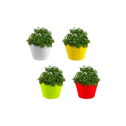 GARDEN'S NEED 4-Pcs White, Yellow & Green Textured Planters-picture-40