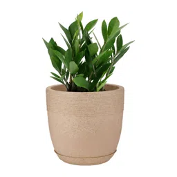 GARDEN'S NEED Beige Marble Design Eco-Friendly Jaguar Cool Planters-picture-13