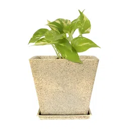 GARDEN'S NEED Beige Marble Design Eco-Friendly Jaguar Greece Planter image 1