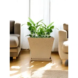 GARDEN'S NEED Beige Textured Planters image 5