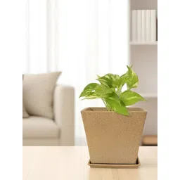 GARDEN'S NEED Beige Textured Planters image 2