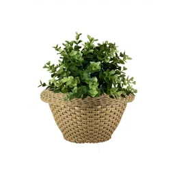 GARDEN'S NEED Brown Textured Eco-Friendly Polly Rattan Planter-picture-23