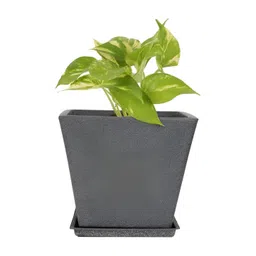 GARDEN'S NEED Grey Textured Planters-picture-22