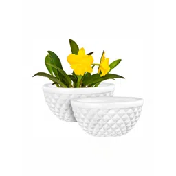 GARDEN'S NEED Holden White 2 Pieces Textured Planters-picture-35