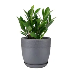 GARDEN'S NEED Jaguar Grey Textured Planters With Tray-picture-23