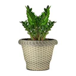 GARDEN'S NEED Off White Textured Jute Planters-picture-34
