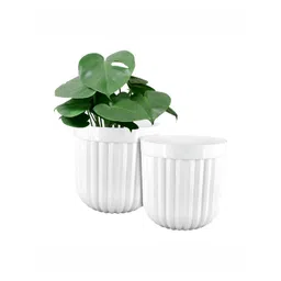 GARDEN'S NEED Seoul 2-Pcs White Textured Eco-Friendly Planters-picture-34