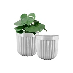 GARDEN'S NEED Set Of 2 Grey Textured Planters-picture-38