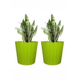 GARDEN'S NEED Thai Green 2 Pieces Textured Planters-picture-33