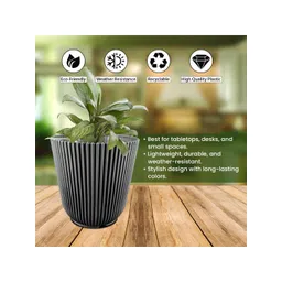 GARDEN'S NEED Wing 5Pcs Black Textured Planters image 4