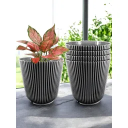 GARDEN'S NEED Wing 5Pcs Black Textured Planters image 5