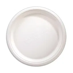Generic Disposable Bagasse Plain Plate White (Pack of 100 Pcs)-picture-17