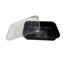 GENERIC Rectangle Plastic Container 750 ml (Pack of 100)-picture-24