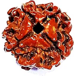 genric Natural 4 Mukhi Nepali Rudraksha for Unisex-picture-51