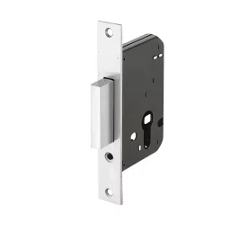 GEZE Dead Lock With Fixing Screws, Size 50 mm, Stainless Steel Front and Strike Plate with Brass Bolt and SS Finish, 8115206-picture-35