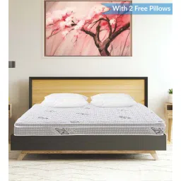 gilson Ruby Plus Euro Top Plush Comfort 10 inch Bonnel Spring Queen Mattress (With 2 Free Pillows)-picture-34