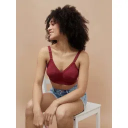 Ginger By Lifestyle Dark Red Regular Fit Bra-picture-39