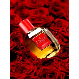 Gisada Ambassadora Women Eau de Parfum - 100ml-picture-38