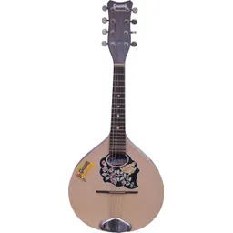 Standard Givson Mandolin-picture-26