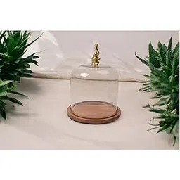 Glass Dome with Wooden Base, Golden Decorative Accent-picture-18