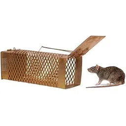 Glassworld -Glass For Every Class- Glassworld Big Iron Rat Trap/Rodent Cage/Mouse Control(27 Cms X 10 Cms X 10 Cms)-picture-25
