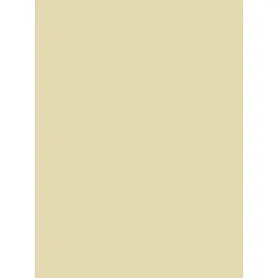 GM Yellow 300 TC Cotton King Bedsheet with 2 Pillow Covers image 4