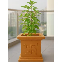 Go Hooked 9 Inch Pot Traditional Planter-picture-23