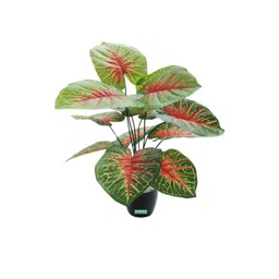 Go Hooked Artificial Plant With Complimentary Pot-image-23