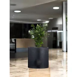 Go Hooked Black Tube Planters-picture-36