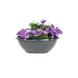 go hooked Bonsai Round Pot 13.7 Inch for Indoor & Outdoor Plants-picture-14