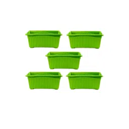 go hooked Rectangular Jupiter Flower & Plants Pots-picture-17