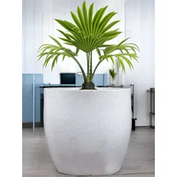 Go Hooked White & Green Pluto Shaped Lightweight Planter-image-32