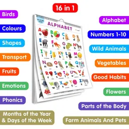 go woo My First ALL IN ONE SPIRAL CHART : With 16 Topics, birthday gifts for Kids-picture-22