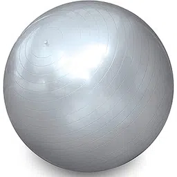 GOCART WITH G LOGO Anti Burst Yoga Ball & Gym Ball - Size: 65 (Pack of 1, Grey)-picture-37