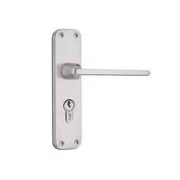 Godrej Door Handle Set 1CK BM 10 Satin Steel 175 mm, 5532-picture-25