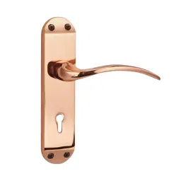 Godrej Mortise Lock ELC 02 Rose Gold, 6620-picture-18