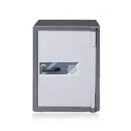 Godrej Popular Safe Fire And Burglary Resistance Pop 27-picture-14