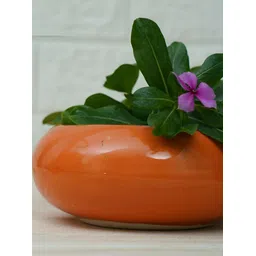 GOLD DUST Orange 2 Pieces Ceramic Ellipse Planter image 2