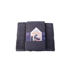 GOODMAN GLOBUS Blue & Grey 2 Cotton 500 GSM Bath Towel-image-4