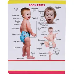 goodsnet My First Learning Board Book of All-In-One For Children (English-Hindi) image 3