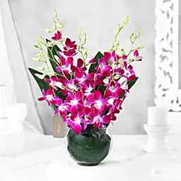 Gorgeous Purple Orchid Bunch-picture-14