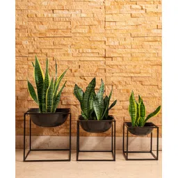 Green Girgit Black Dome Square planter stands - Set of Three-image-46