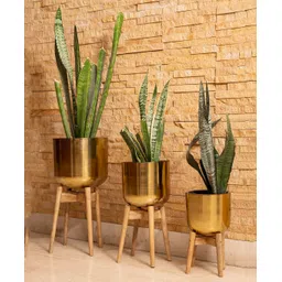 Green Girgit Golden Pots with Wooden Stands - Set of Three-picture-41