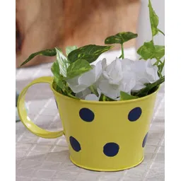 Green Girgit Polka Cup Small Yellow-image-32