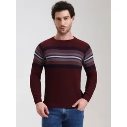 Greenfibre Men Striped Pure Cotton Slim Fit Sweaters-picture-20