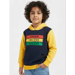 Grit N Groove Boys Colourblocked Hooded Sweatshirt-picture-46